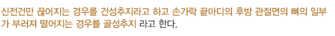 신전건만 끊어지는 경우를 건성추지라고 하고 손가락 끝마디의 후방 관절면의 뼈의 일부가 부러져 떨어지는 경우를 골성추지 라고 한다.